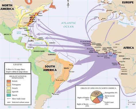 The Great Tupi Salt Exchange: An Unlikely Catalyst for Cultural Diffusion and Socioeconomic Transformation in 2nd Century Brazil